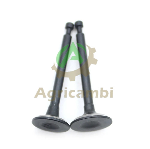 Valvola scarico aspirazione - scarico,