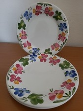 Richard ginori mondovì - ginori,