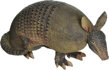 Lifelike armadillo garden - armadillo,