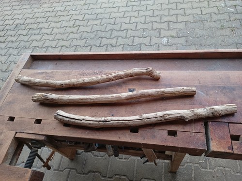 Rami legno da frutto - rami,