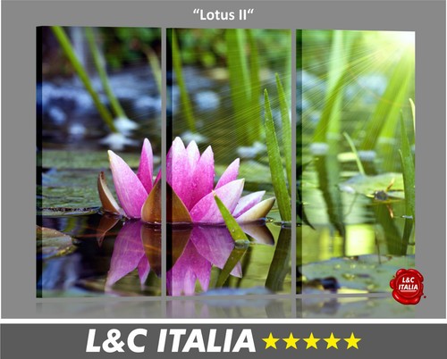 Lotus quadri moderni quadro - moderni,