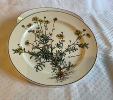 Villeroy & Boch Botanica 2 piatti / piatti grandi 26,5 cm