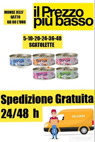 Monge jelly umido lattina - monge,