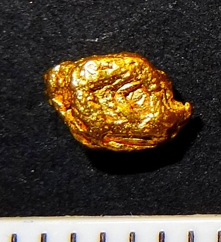 Xxl goldnugget pepite - xxl,