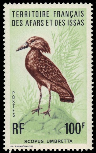 Afars issas 417 hammekop - issas,