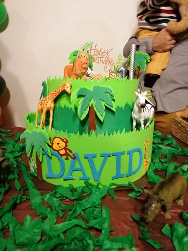 Torta finta compleanno giungla - torta,