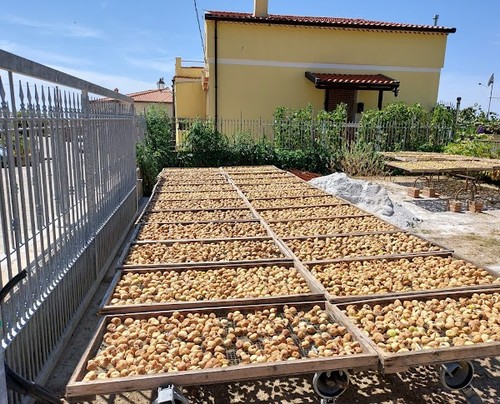 Cilento fichi secchi miele - cilento,