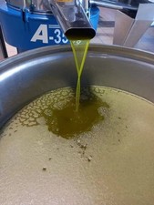 Olio extravergine d'oliva novello produzione puglia 2025/2026