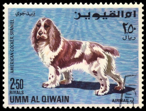 Umm qiwain 216 razze di - -,
