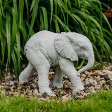 Elefante africano bambino