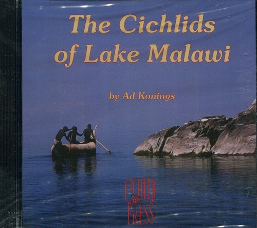 The cichlids lake malawi - lake,