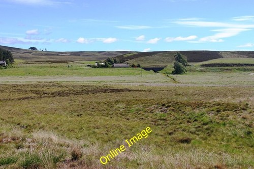 Photo 12x8 brown - 12x8,