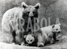 Foto vintage Latte e Miele