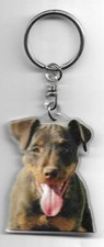 JAGD TERRIER  CHIEN PORTE CLES