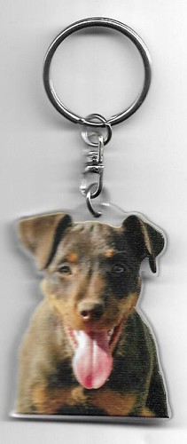 Jagd terrier chien porte - , cles