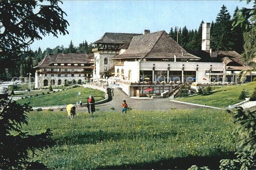 Poiana brasov hotel sport - poiana,