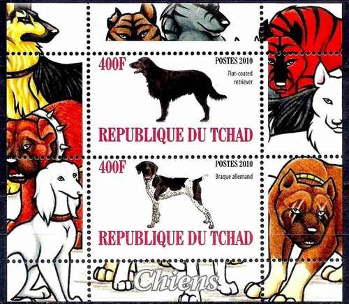 Chad 2010 caccia cani - chad,