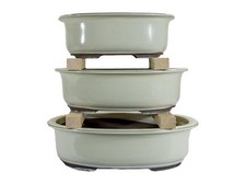 Vasi per bonsai Giapponesi