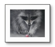 Procione originale 14 x 11