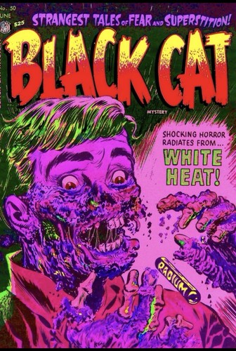 Black cat mystery 50 - cat,