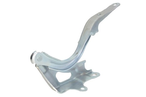 Cerniera del coperchio del