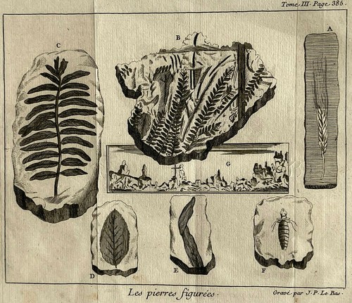 Pierres figurees gravure - pierres,