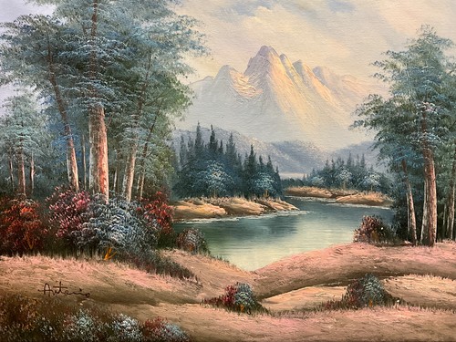 Dipinto olio tela 20x24 - dipinto, 20x24”