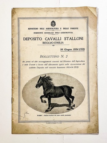Bollettino deposito cavalli - bollettino,