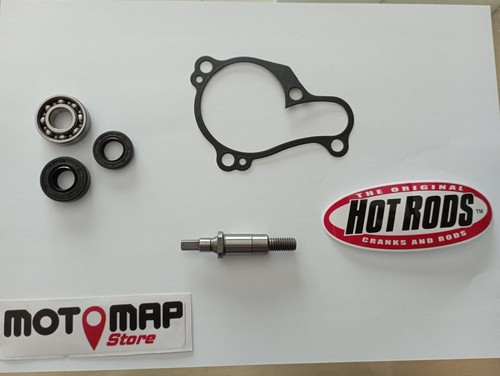 Kit revisione pompa acqua - revisione,