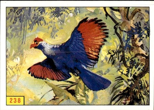 Figurina uccelli panini - figurina,