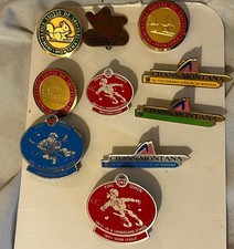 10 Pin’s Insignes Ski École De Ski Suisse Crans Montana 