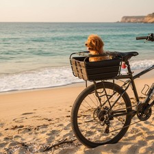 Trasportino per cani - trasportino,
