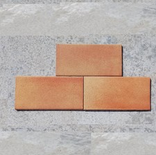 KLINKER 24x12x1 cm PIASTRELLA PAVIMENTO  | siena/foglie d'autunno/terra