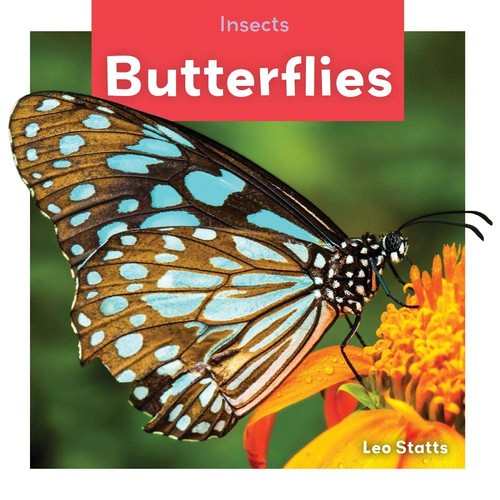 Butterflies - , (insects)