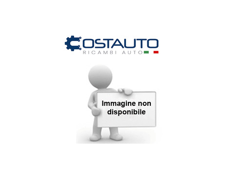 Porta portiera posteriore - porta,