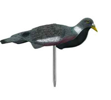 stampo colombaccio a