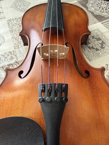 Violino professionale da - professionale,