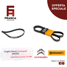 Cinghia servizi poly - cinghia, poly-v