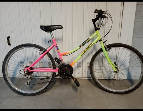 Bicicletta bambina usata
