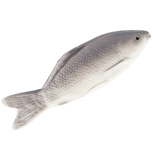 Pesce finto gatto - pesce,