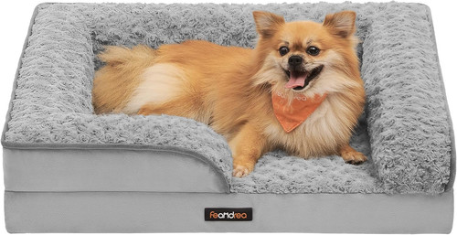 Cuccia cane interno - interno,,