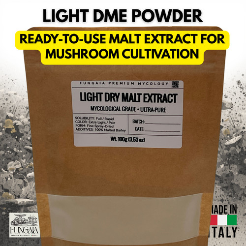 Estratto malto secco light - di,