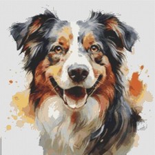 Pastore australiano cucciolo