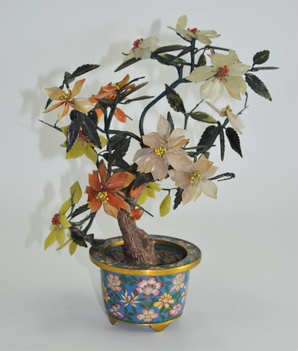 N8311s magnifica pianta bonsai - n8311s,