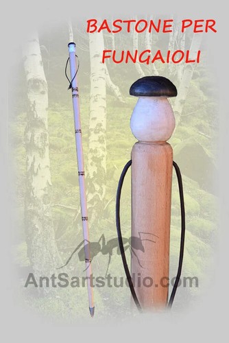 Bastone funghi montagna - bastone,
