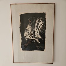 Minguzzi luciano litografia - ,