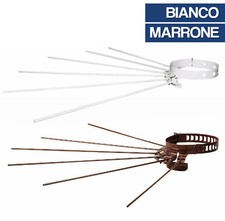 STENDIBIANCHERIA A RAGGIERA