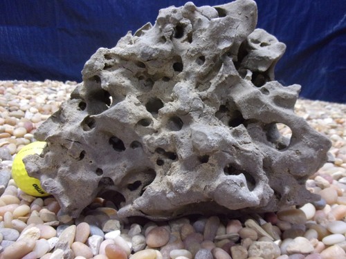 Texas holey rock - 04#,