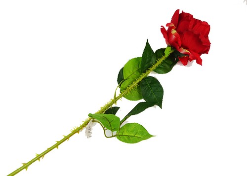 Rosa rossa grande spine cm - grande, c/spine