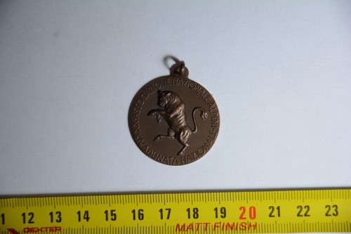 Medaglia alpini ana adunata - ana,